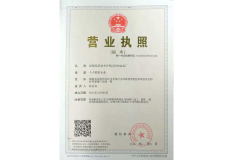 岳阳经济技术开发区玖和食品厂 营业执照